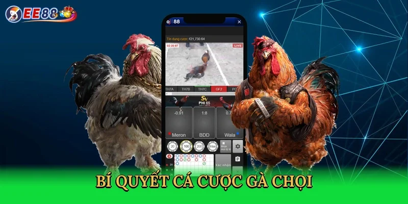 bi-quyet-ca-cuoc-ga-choi-4