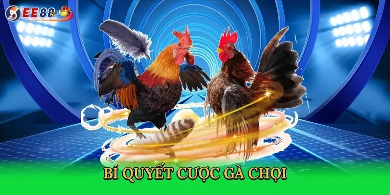 bi-quyet-cuoc-ga-choi-4