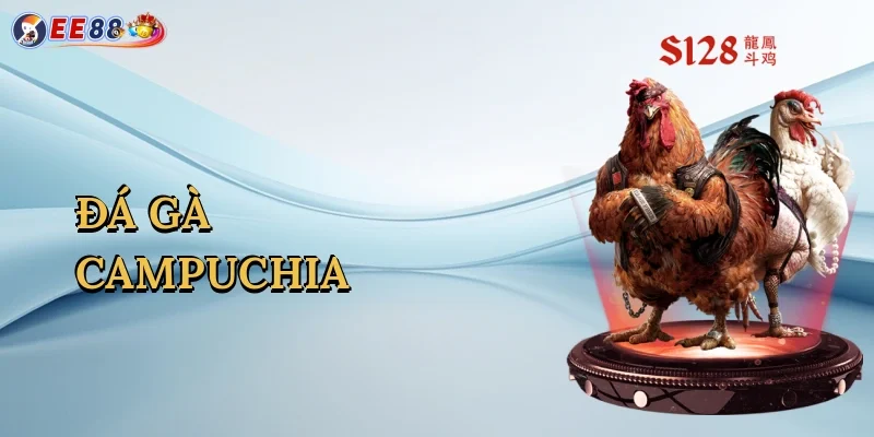 da-ga-campuchia-1