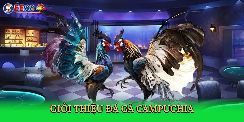 gioi-thieu-da-ga-campuchia-2
