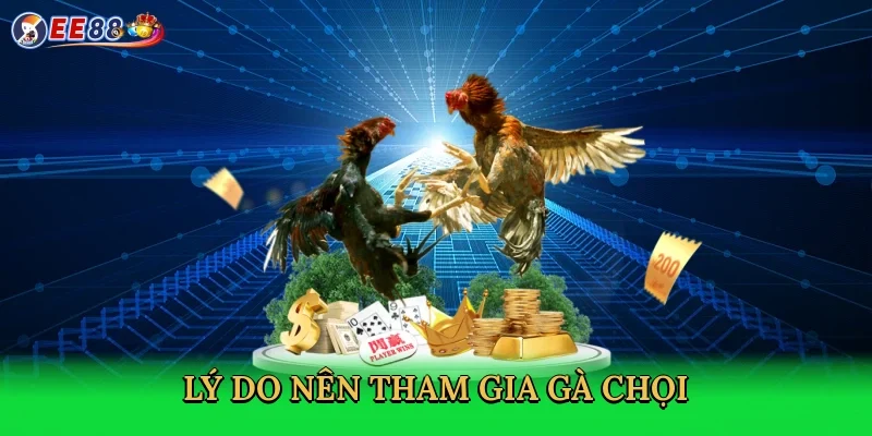 ly-do-nen-tham-gia-ga-choi-3