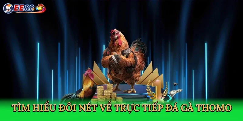 tim-hieu-doi-net-ve-truc-tiep-da-ga-thomo-2