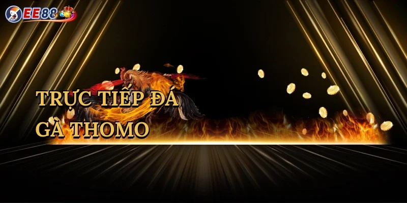 truc-tiep-da-ga-thomo-1