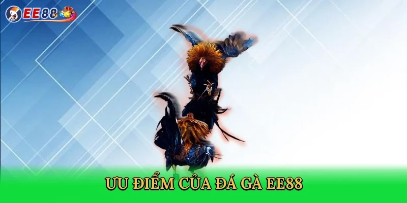 uu-diem-cua-da-ga-ee88-3