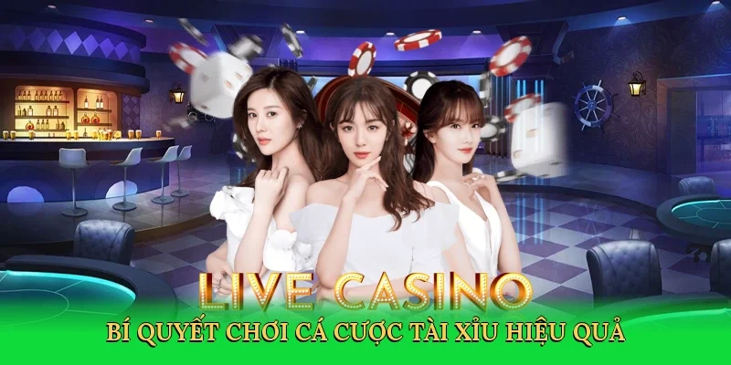 Bí quyết chơi cá cược tài xỉu hiệu quả