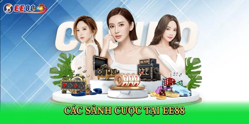 cac-sanh-cuoc-tai-ee88