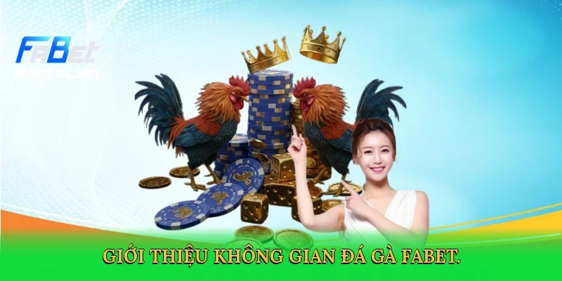 gioi-thieu-khong-gian-da-ga-fabet-2